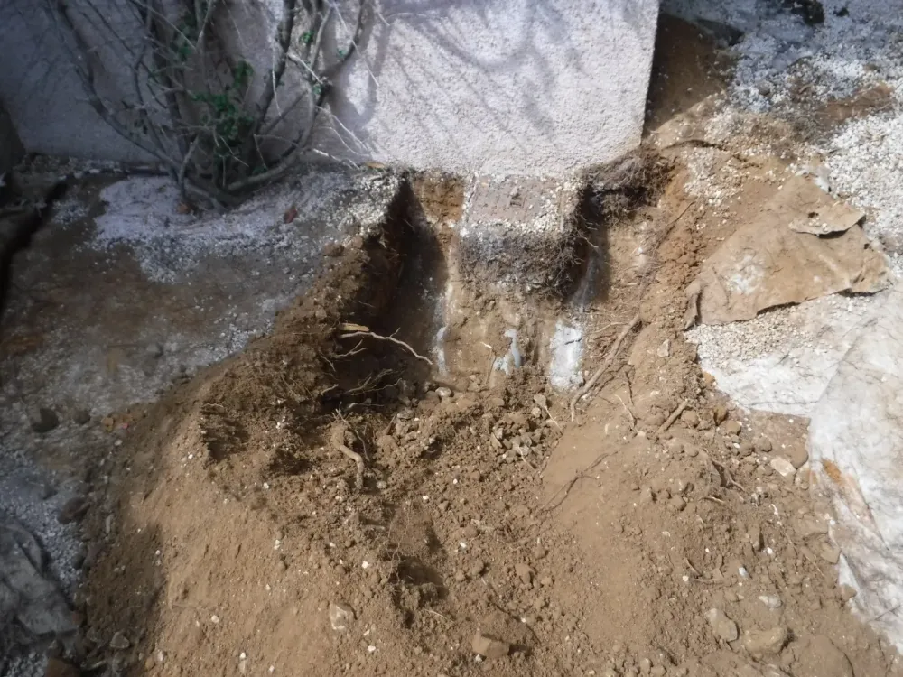 dégagement collecteur enraciné