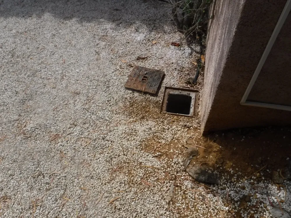 réfection collecteur enraciné